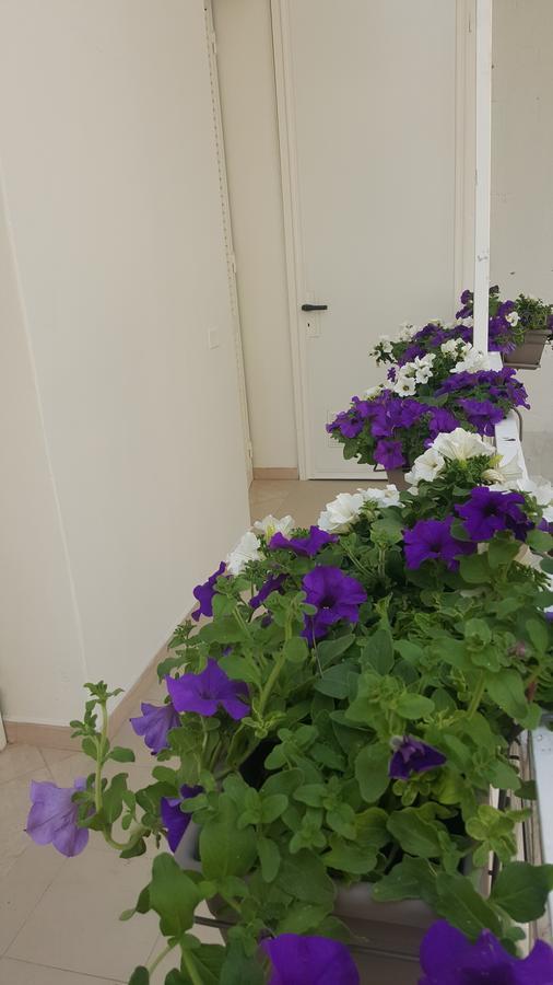 Matera Guest House 外观 照片
