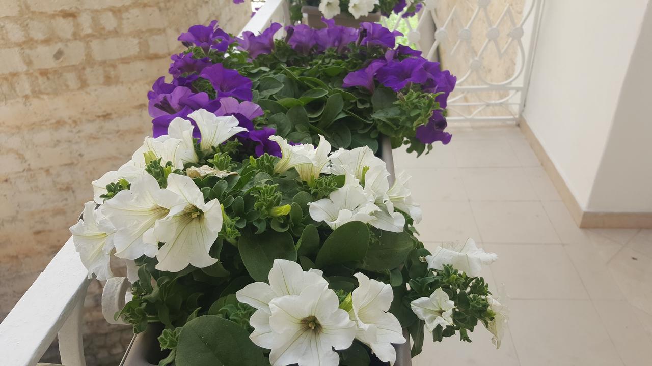 Matera Guest House 外观 照片
